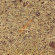 Панель SaunaBoard Organoid Альпийское сено 2800*1250*16мм, шт